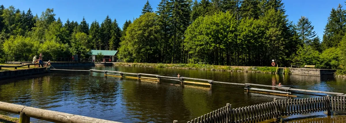 Ein Naturbadesee im Fichtelgebirge mit Holzstegen, Liegewiese und Nadelwald ringsum